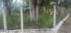 đất cam tân, 2 mặt tiền, khu vực an toàn không bị quy hoạch. giá tốt nhất thị trường