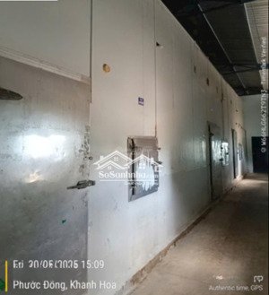 cho thuê nhà xưởng chế biến thủy hải sản tại xã phước đồng, thành phố nha trang