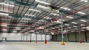 cho thuê kho ngoại quan và logistics khu công nghiêp long hậu ,huyên cần giuộc