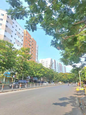 bán gấp chdv cao cấp 7 tầng 300m2 - nguồn thu 450tr/th - cạnh celadon