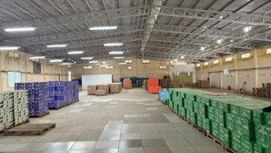 cho thuê kho xưởng rộng 1000m2 ngay chợ phường 7, bến tre. hệ thống pccc đầy đủ