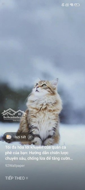 cho thuê nhà 2 tầng ngõ phố vũ hựu