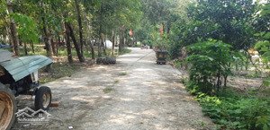 chính chủ bán gần 1 hec 1 cao su đang thu hoạch giá 5tỷ9 thương lượng