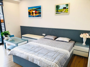 mời thuê căn hộ studio đủ đồ view sông hồng toà s2 sky oasis ecopark. lh ạ
