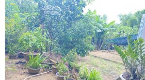 bán nhà riêng tại điện quang, điện bàn, quảng nam, 1,718 tỷ, 583m2, giá cực chất