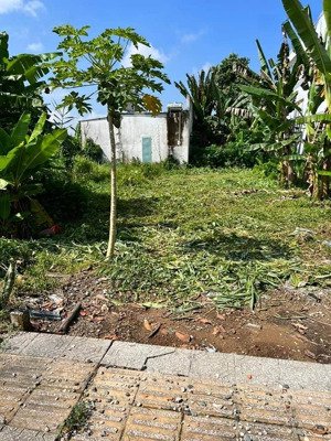 cần bán đất ở tt. cần đước - cách trung tâm 10p đi xe, 140m2, thổ cư toàn bộ, shr