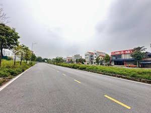 bán đất trung đông nhật tân mặt đường chim cò