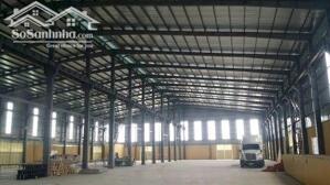 Cho thuê kho xưởng QL 51, Cái Mép, Phú Mỹ, Bà Rịa Vũng Tàu.