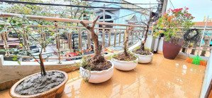 bán nhà mặt đường đẹp trung tâm mạo khê, thoáng trước sau, giá cực tốt. lh 