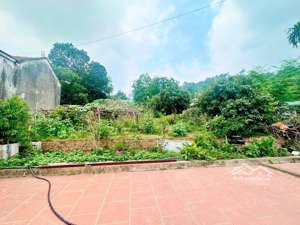 nam sơn sóc sơn hà nội. views hồ. đường ô tô chạy vòng quanh