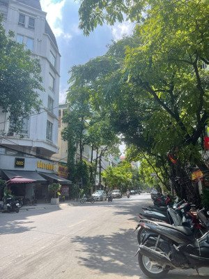 chung cư mini siêu hot bán tại hoàng mai, 32 tỷ, 120m2 bao đẹp