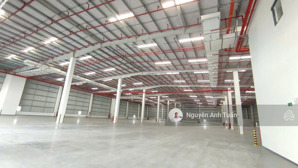 cho thuê kho xưởng trong khu công nghiệp long an