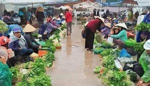bán đất 500m2, 750 triệu tại dh507, an linh, phú giáo, bình dương