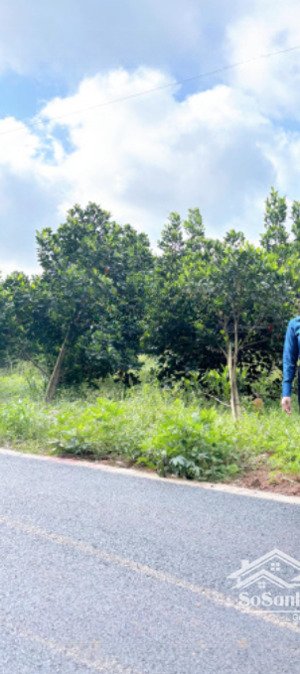 bán đất: 500m2 giá 800triệu sổ hồng riêng. mặt tiền đường nhựa 12m dân đông