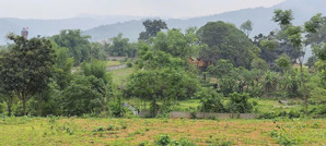 chính chủ gửi bán lô đất nằm trục chính, đường bê tông, đất vuông vắn, view đồng, giá đầu tư