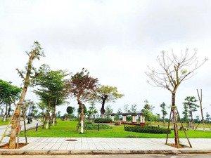 đất phú mỹ - vị trí đẹp giá đầu tư - đẳng cấp nằm ngay trung tâm thành phố quảng ngãi
