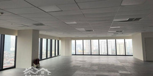 cho thuê nhanh văn phòng 250m gần phố hoàng quốc việt, cầu giấy, thông sàn, riêng biệt, yên tĩnh