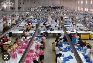 Xưởng may mặc gần 20.000m² đất có 10.000m² kho nhà xưởng cho thuê, văn phòng làm việc, nhà ăn công nhân tai Quảng Nam..