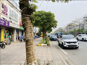 bán đất phố ngô gia tự, giá tốt 7,6 tỷ, 95 m2, mặt ngõ thông, xây tòa nhà cho thuê, ra dòng tiền
