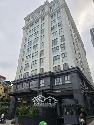 cho thuê toà nhà mới mặt tiền nguyễn tri phương quận 10