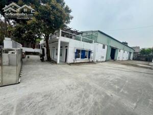  CHO THUÊ NHÀ KHO 310M² TẠI SƠN TRÀ – CÓ SẴN ĐIỆN 3 PHA – GIÁ CHỈ 15 TRIỆU/THÁNG 
