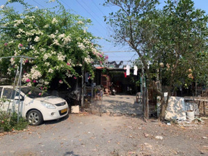 cho thuê gấp! vườn nghĩa bình, yên nghĩa hà đông 5000m2 - gần big c thăng long giá hạt rẻ 15 triệu