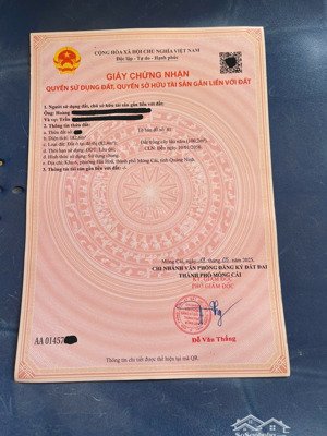 chính chủ bán đất mặt tiền trần quốc tảng, trung tâm móng cái, gần 200m², giá chỉ từ 2.xxxt