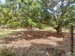 cần bán lô đất thổ cư xã cam hải tây. quy hoạch đẹp. sổ hồng đầy đủ. giá đầu tư