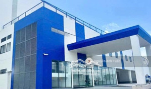 cho thuê kho trong khu công nghiệp phú mỹ, bà rịa vũng tàu