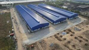 Cho thuê xưởng 9000m2 KCN Phú Mỹ 1, Tx Phú Mỹ, BRVT