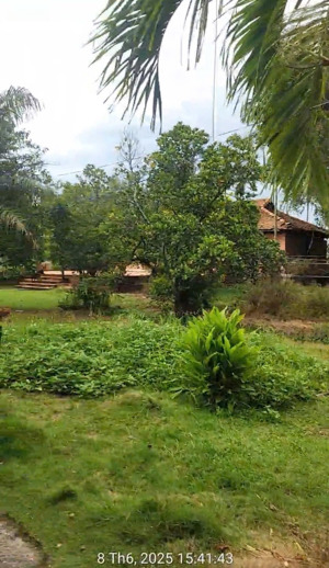 bán nhà vườn đẹp - bình mỹ, củ chi