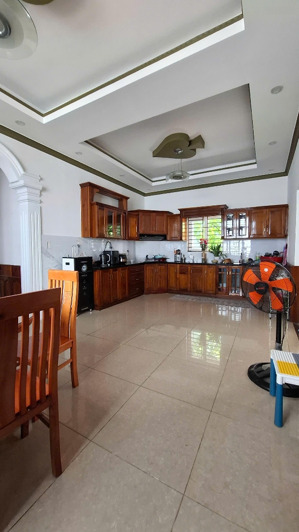bán biệt thự tại đường lỗ giáng 10, hòa xuân, cẩm lệ, đà nẵng, giá thỏa thuận, 230m2