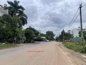 bán đất nền dự án biệt thự 8m x 20m cách chợ bà điểm 300m