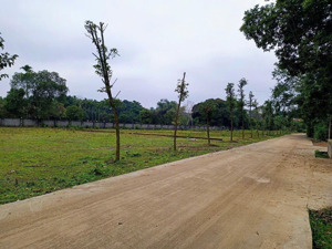 bán 140m đất thổ cư, cư yên, lương sơn. giá vài trăm triệu.