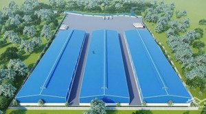 cho thuê kho xưởng kcn tân phú trung, củ chi, khuôn viên: 50.000m2, xưởng: 29.000m2