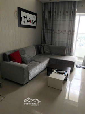 cho thuê cc 96m2 the pegasus plaza võ thị sáu 11,5 triệu đẹp nhiều tiện ích