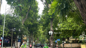 bán biệt thự mặt tiền phùng khắc khoan, p. đakao, q1 - 241.1m2 - 6pn - garare xe đậu 4 xe hơi