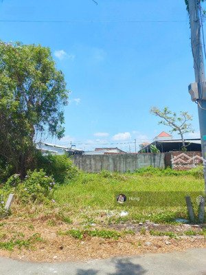 bán đất full thổ cư đường hồ văn huê, tt. cần đước, long an giá chỉ 650 triệu