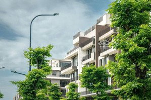 shophouse siêu hiếm vị trí kinh doanh vàng trên đường vịnh đảo eco central park