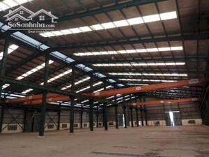 Cho thuê kho, nhà xưởng đẹp tại Lê Lợi, Phú Mỹ, Thủ Dầu Một, Bình Dương, 2,5 tỷ/th, 20000m2