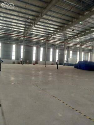 Xưởng Khánh Bình Tân Uyên 2600m2 VP 100m2. PCCC vách tường, điện 350kva. Đường xe cont.