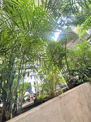 cho thuê nhà biệt thự 199m2, 35 triệu, hai bà trưng, tân định, q1 ưu tiền cafe cổ, nhà hàng cổ
