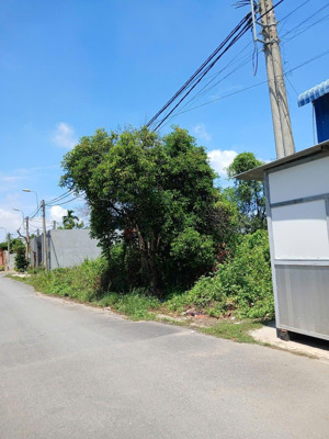giảm sốc ngộp 2 tỷ tỷ đất ngang 14 mét chưa qua đầu tư có vỉa hè sân vườn rộng lớn view kênh