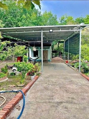 bán nhà vườn gần đường dh507, xã an linh, phú giáo, bình dương, giá 800tr 17000 m2