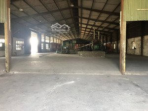 chính chủ cần cho thuê nhà xưởng tại 41 võ văn bích - củ chi, tổng diện tích: 13,000 m2