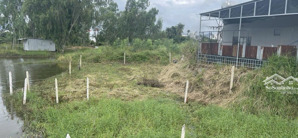 bán đất lúa vĩnh thái quy hoạch thổ 255,6m2 giá 920tr