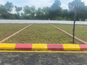 bán lô đất đẹp full thổ cư sổ đỏ sẵn sàng công chứng ngay