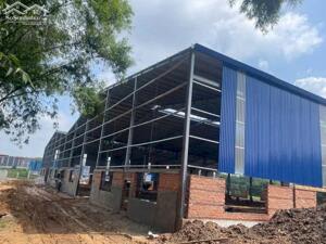 Cho Thuê 5.000m2 - 14.333m² Nhà Xưởng Mới 100% Tân Uyên Bình Dương