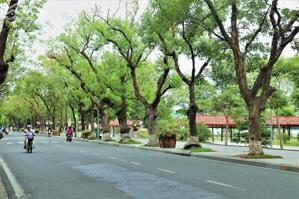  CHO THUÊ NHÀ 1.5 TẦNG MẶT PHỐ QUANG TRUNG - GIÁ 11TR