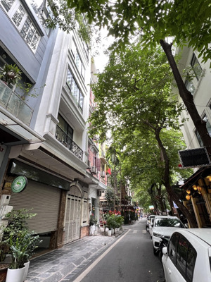 bán gấp !!! phân lô nguỵ như kon tum - mt : 5,5m - ô tô tránh - kinh doanh cafe